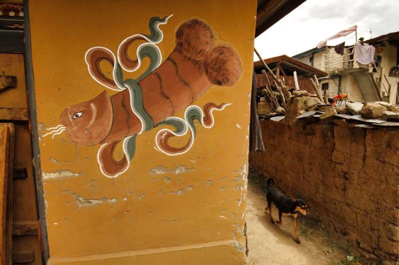 street art fallica in bhutan 1