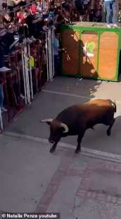 Toro infilza un uomo in Spagna 2