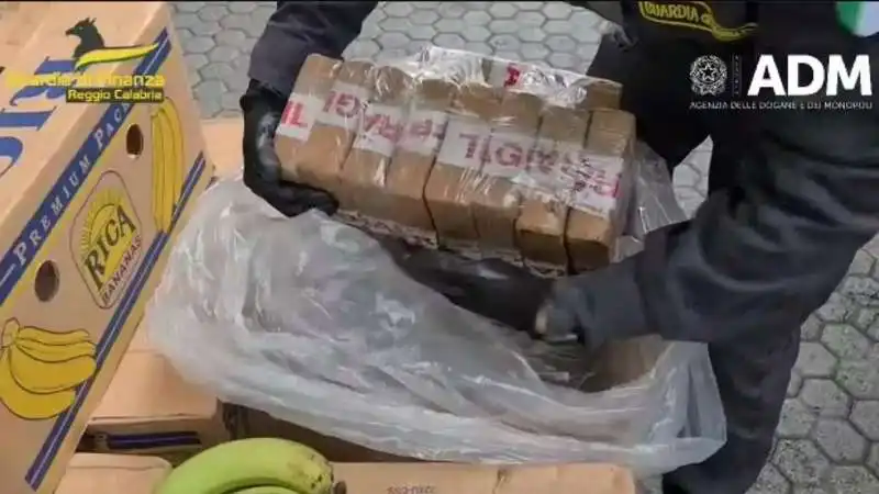 cocaina nascosta tra le banane al porto di gioia tauro  