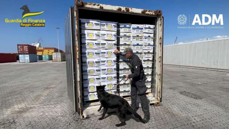 cocaina nascosta tra le banane al porto di gioia tauro