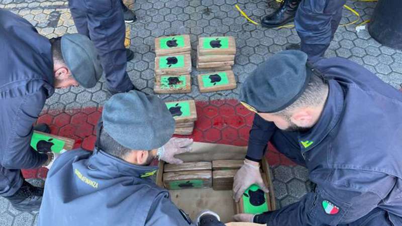 cocaina nascosta tra le banane al porto di gioia tauro