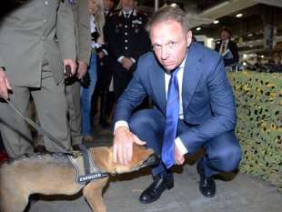 francesco lollobrigida con un cane dell esercito