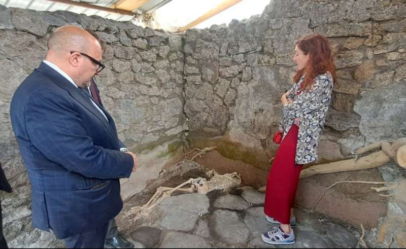 gennaro sangiuliano a pompei