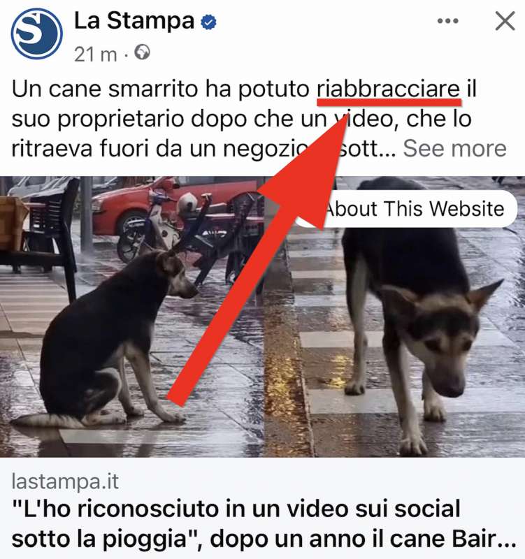 la stampa, il cane con le braccia