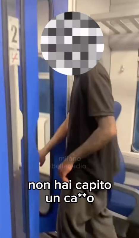 milano molestie sul treno 7