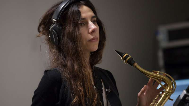 pj harvey a dog called money