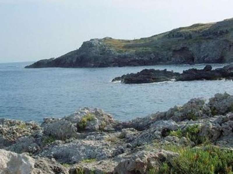 PUNTA RISTOLA