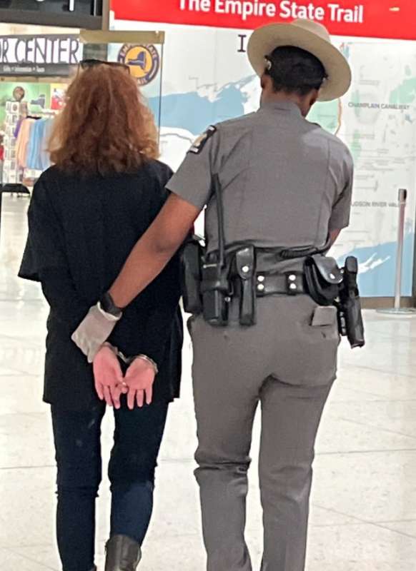 susan sarandon arrestata 4