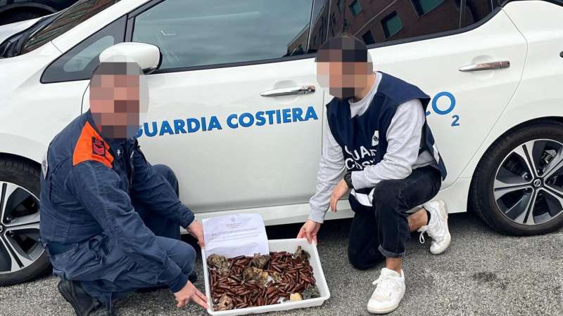 DATTERI DI MARE SEQUESTRATI DALLA GUARDIA COSTIERA