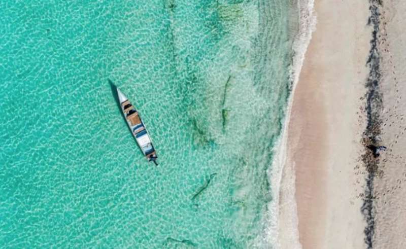 isola di Socotra in Yemen