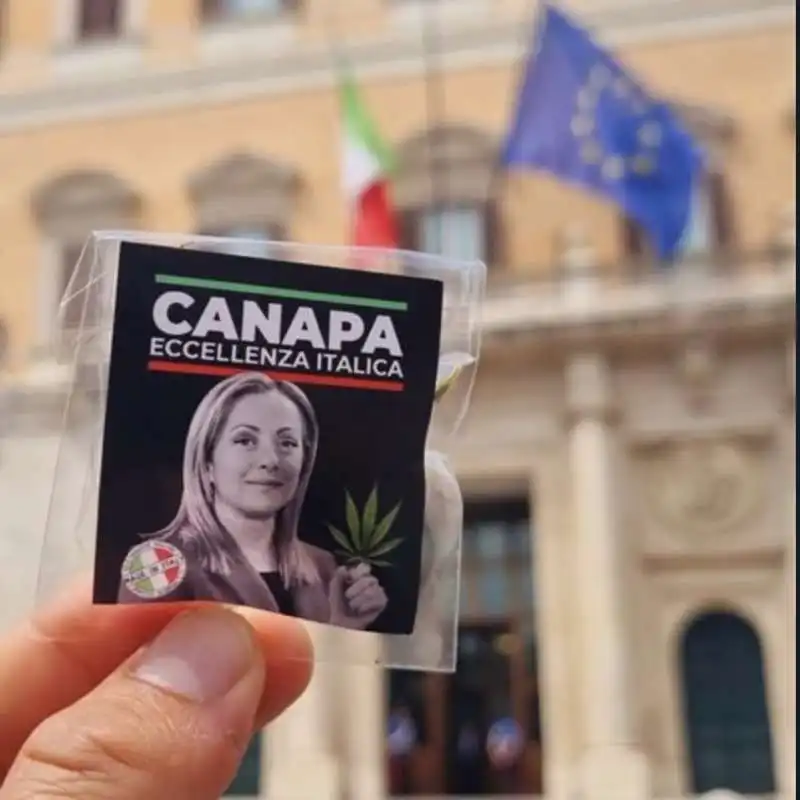 la bustina di cannabis light portata da riccardo magi in parlamento