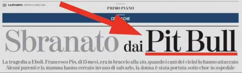 la stampa, pit bull