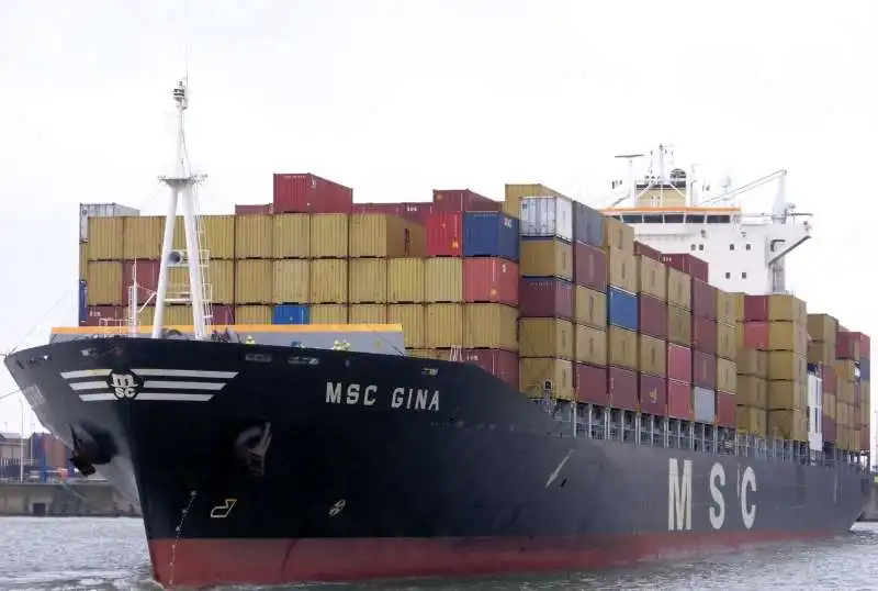 msc gina