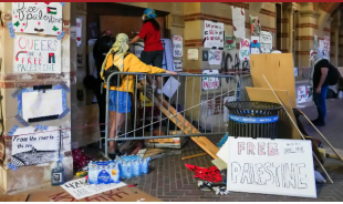 proteste università usa