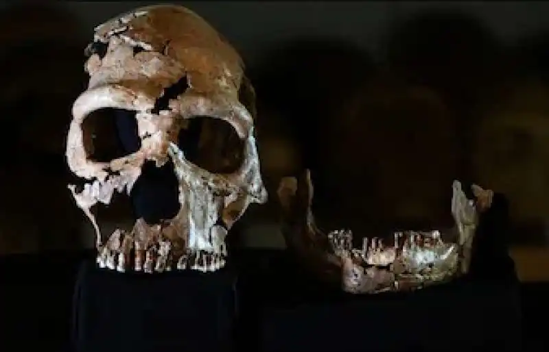 resti di donna di neanderthal trovati nel kurdistan iracheno  