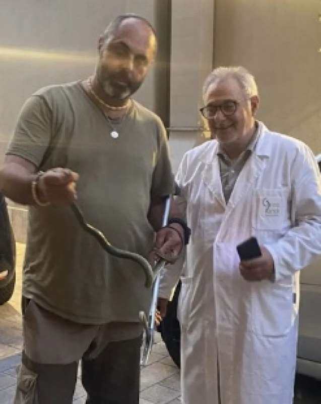 serpente in una clinica di roma 3