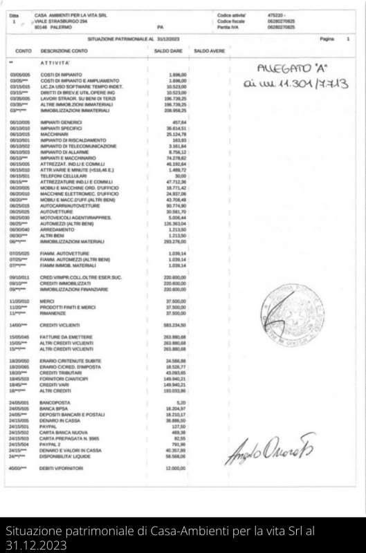 SITUAZIONE PATRIMONIALE DI CASA AMBIENTI PER LA VITA SRL AL 31 DICEMBRE 2023