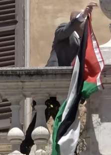 stefano apuzzo appende bandiere della palestina alla camera 7