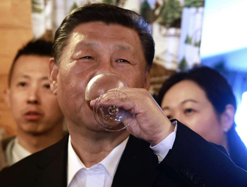 xi jinping trinca sui pirenei