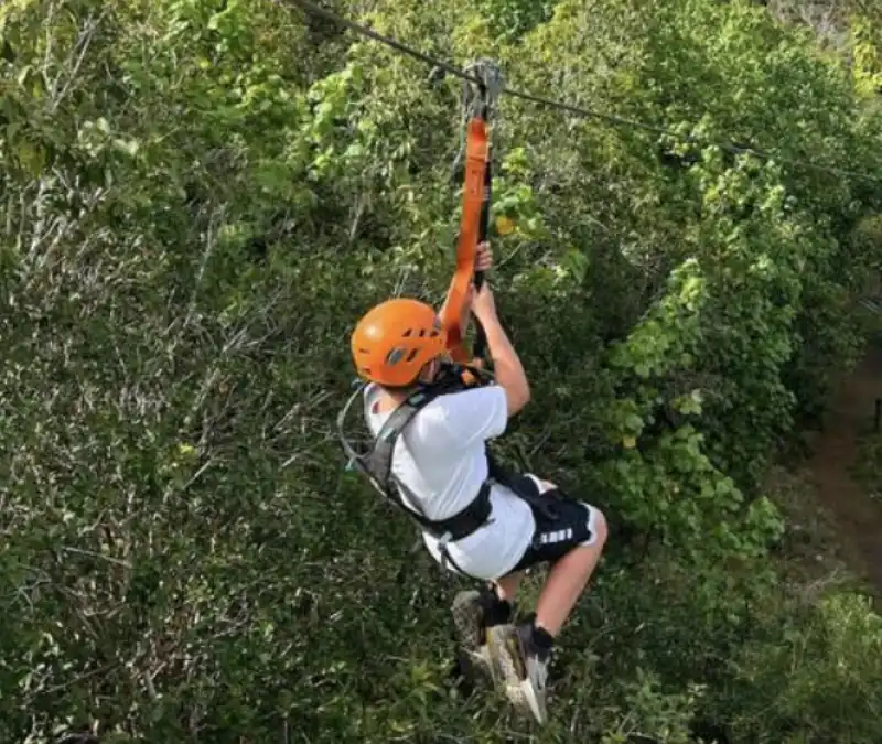 zipline   5