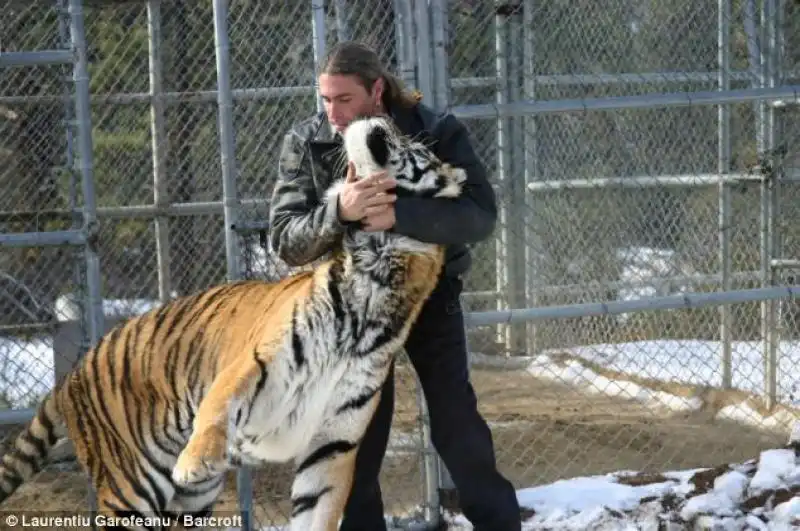 ADDESTRATORE RANDY MILLER CON LA SUA TIGRE EDEN 