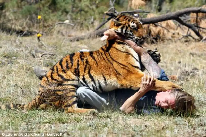 ADDESTRATORE RANDY MILLER CON LA SUA TIGRE EDEN 