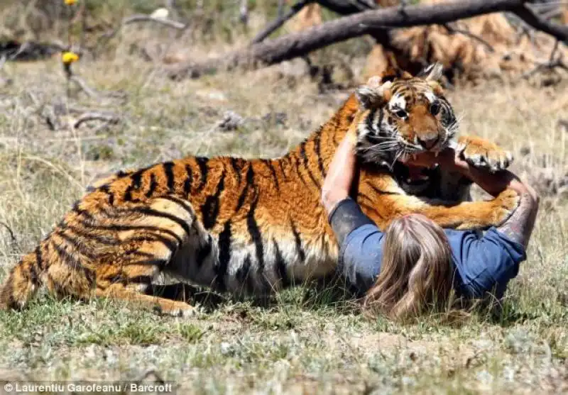 ADDESTRATORE RANDY MILLER CON LA SUA TIGRE EDEN 