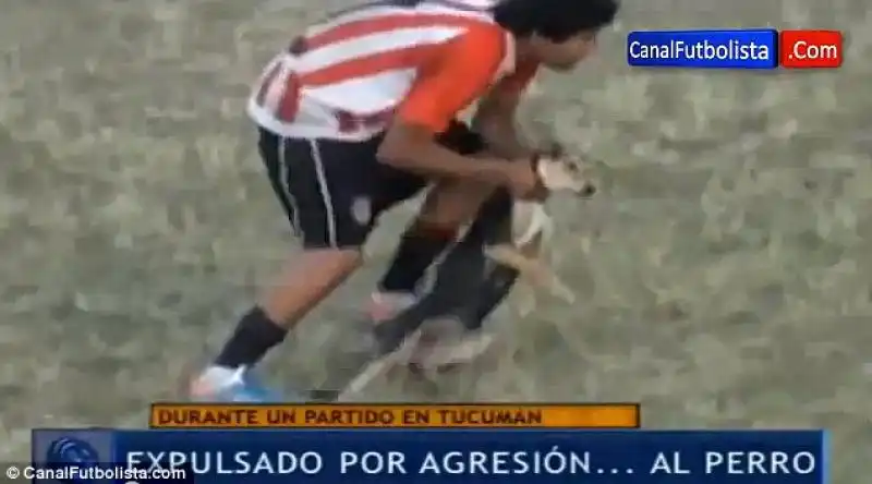 CANE MALTRATTATO DA CALCIATORE ARGENTINO 