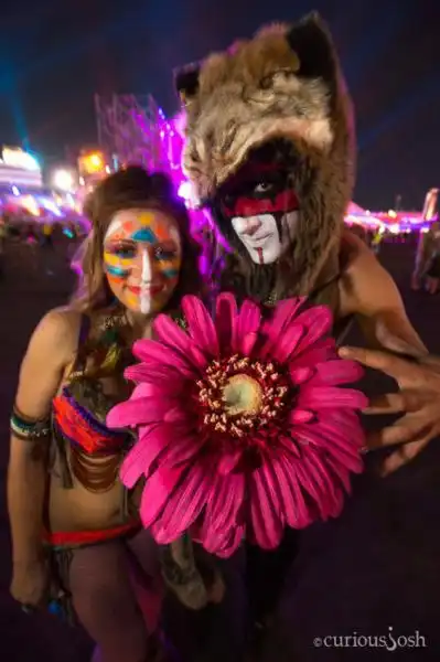 ELECTRICDAISY 