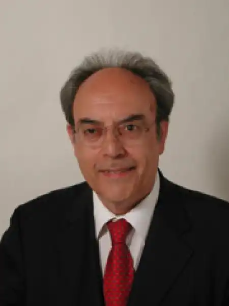 MASSIMO VILLONE 