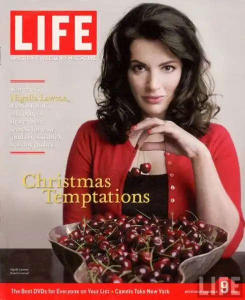 nigella lawson life dec cover yzuB c sized 