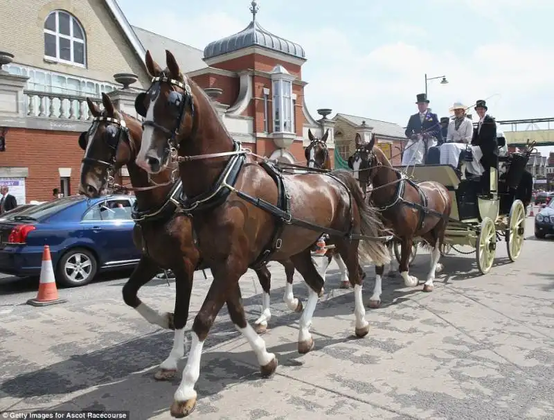 ascot2014 49