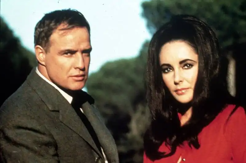 brando rifiuto liz taylor