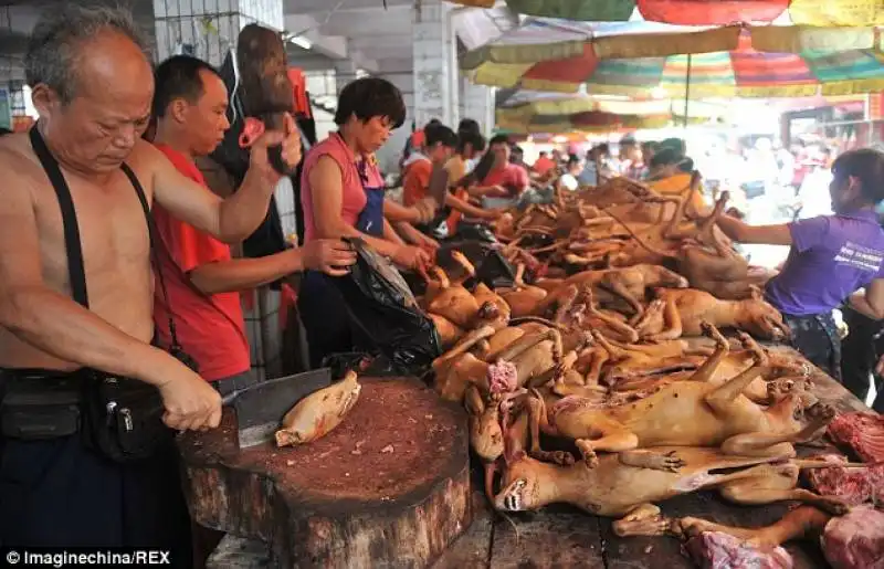 festival yulin in cina