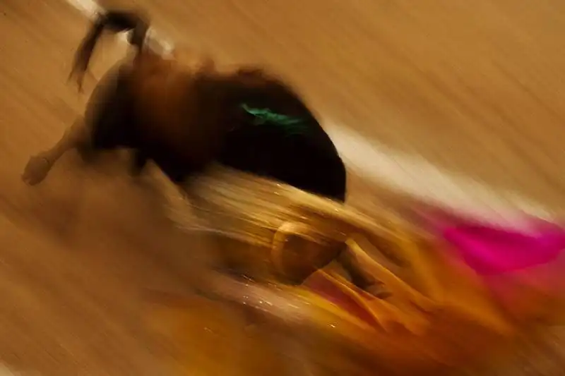 il torero uceda leal alla corrida