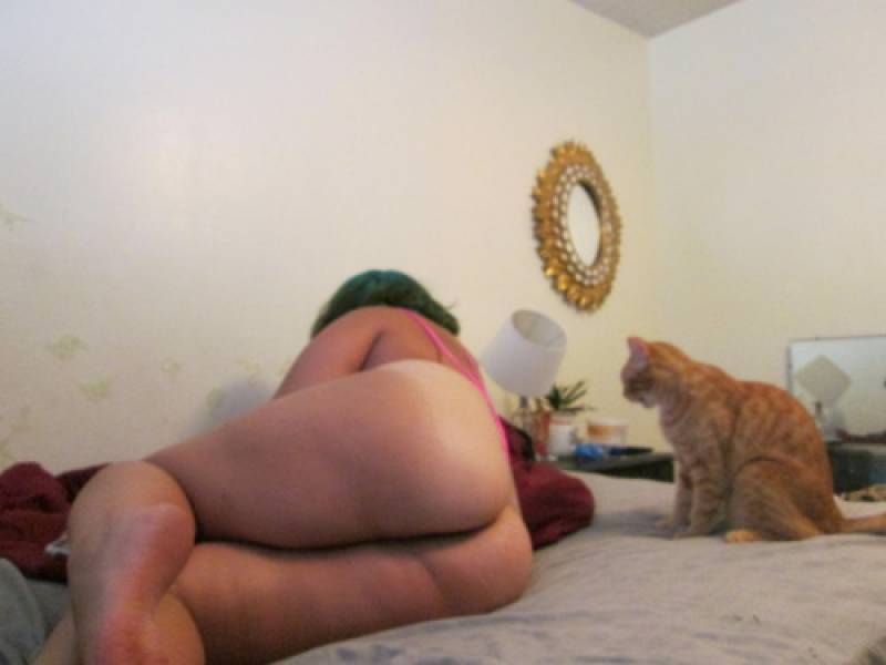 Cats Amateur Porn - Indifferent cats in amateur porn 4 - Dago fotogallery