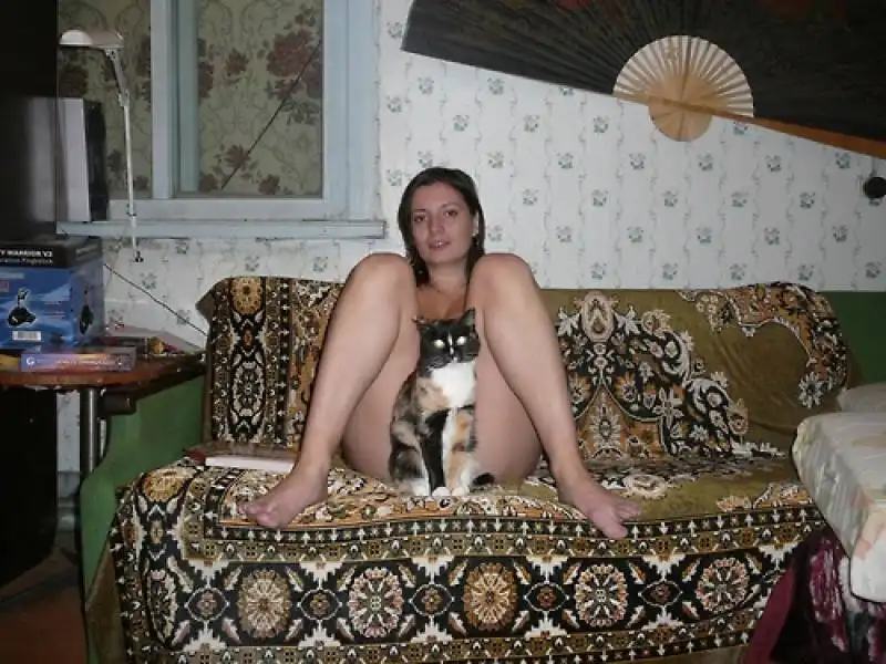 indifferent cats in amateur porn 6