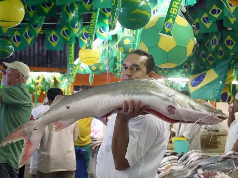 mercato del pesce a manaus