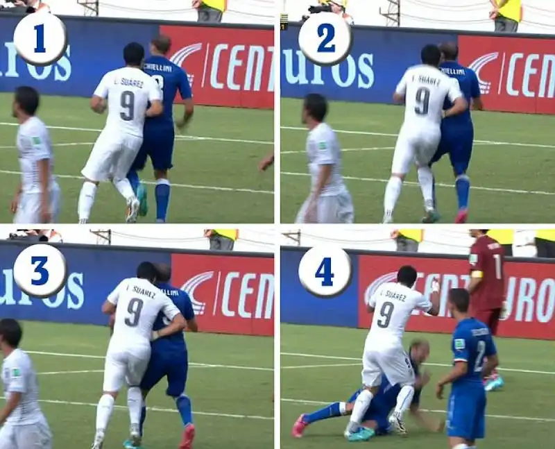 MORSO SUAREZ-CHIELLINI