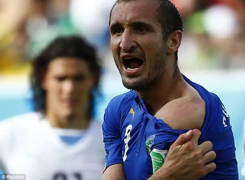 MORSO SUAREZ-CHIELLINI