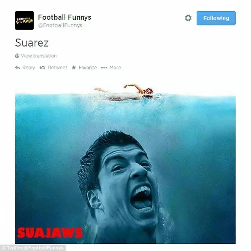 suarez lo squalo