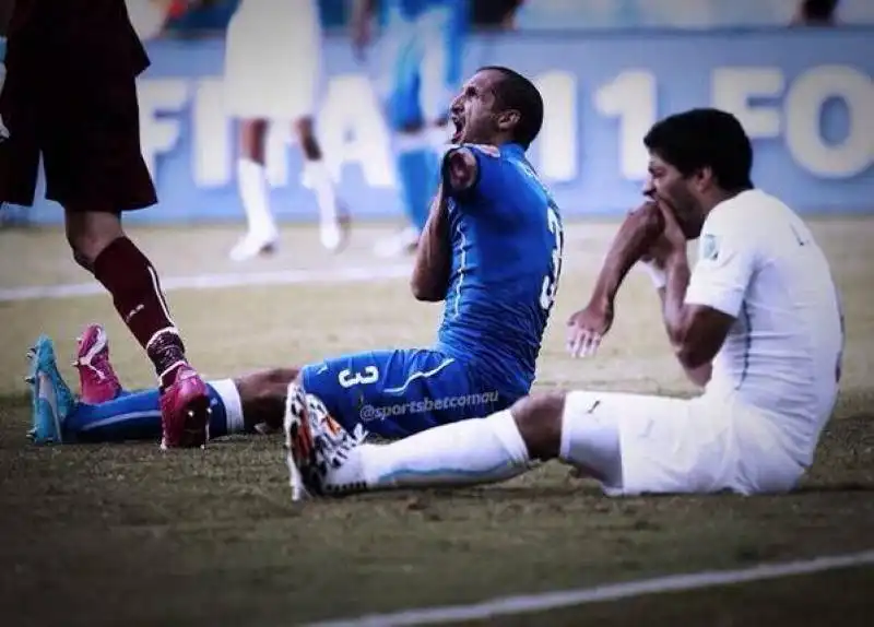 suarez sbrana chiellini