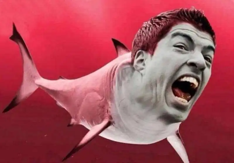 suarez squalo