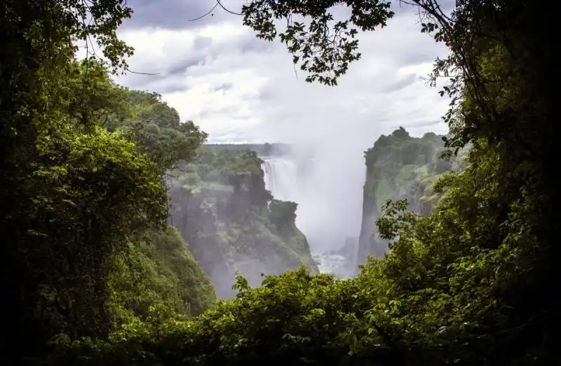 zambia