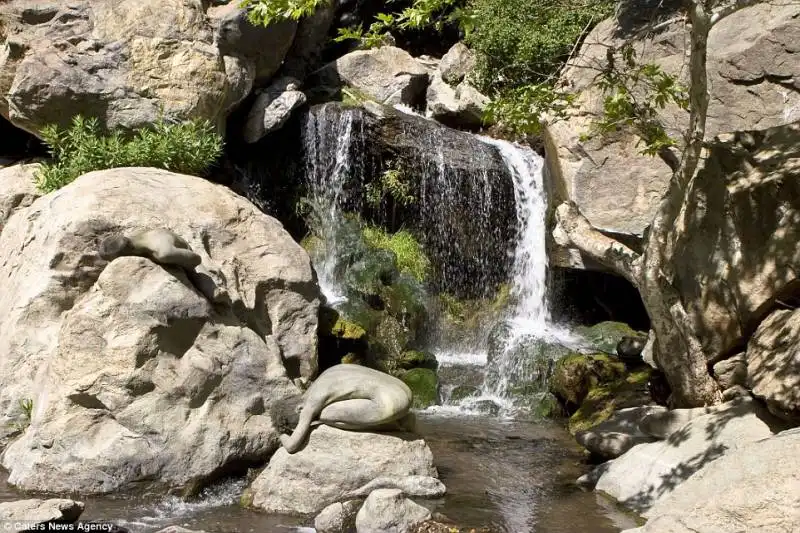 bouquet canyon   california