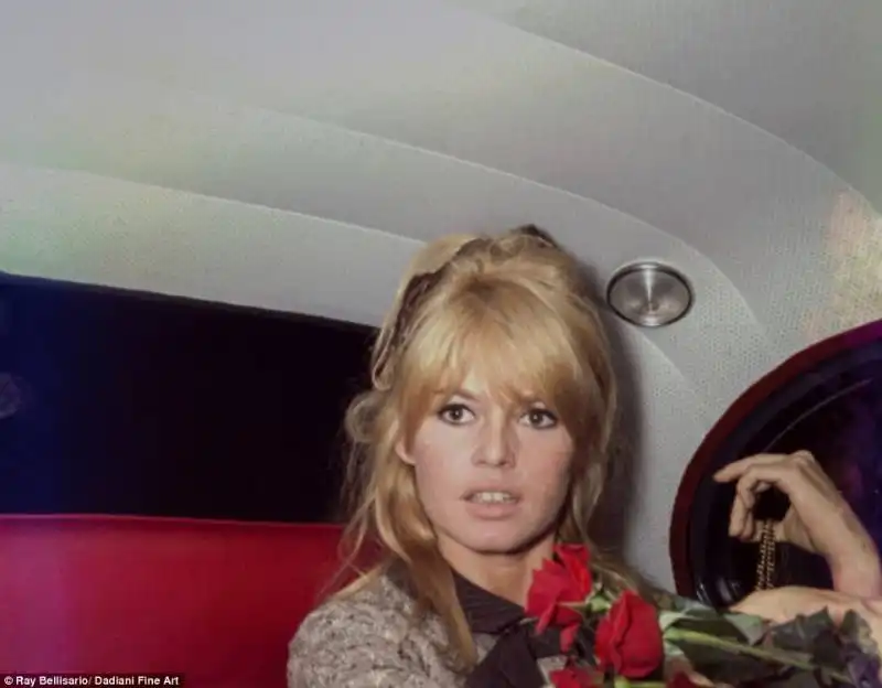 brigitte bardot 9