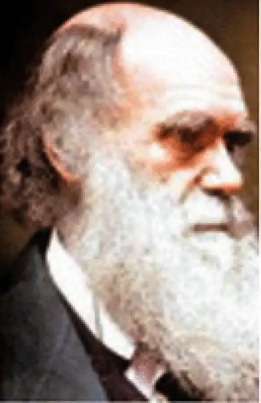 DARWIN