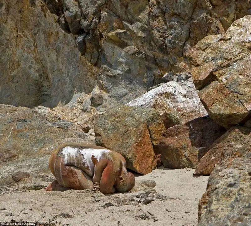 dume zuma beach in california