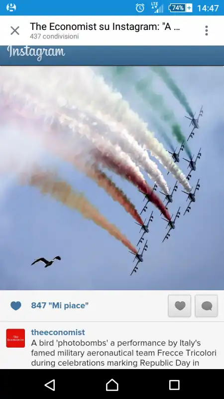 ECONOMIST FRECCE TRICOLORI GABBIANO PHOTOBOMB
