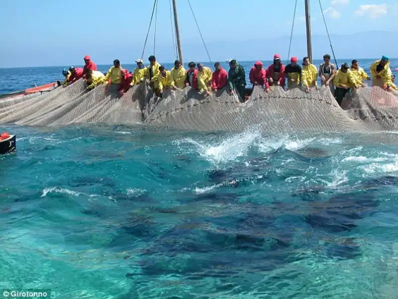 i pescatori ritirano le reti